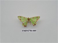 藏品(尺蛾354)的圖片